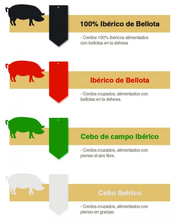 Jamón de bellota 100% ibérico